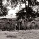 Niegłowice jasło - murek i dworek